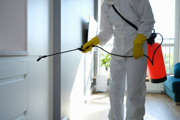 Best Professional Mold Removal  in Cordova, AL